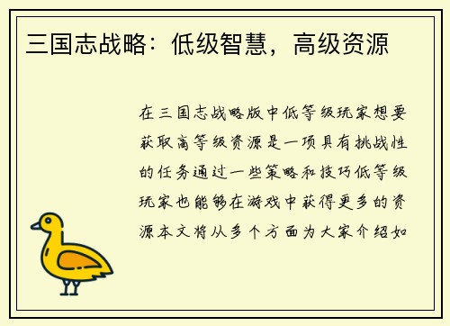 三国志战略：低级智慧，高级资源